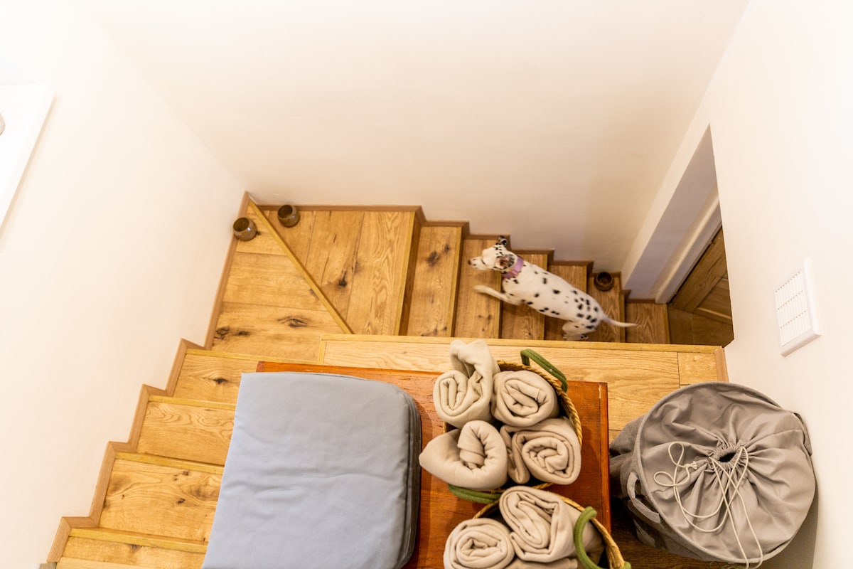 A staircase with wooden steps leads downward, complemented by light-colored walls. At the top, a wooden table displays neatly arranged towels and a grey bag. A dog can be seen ascending the stairs, enhancing the welcoming ambiance of the space.