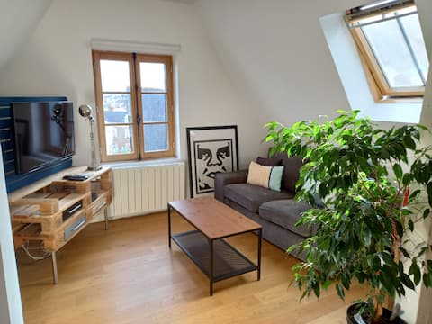 Top performing Airbnb: Large bright 2-room apartment with terrace in the center in Vitré