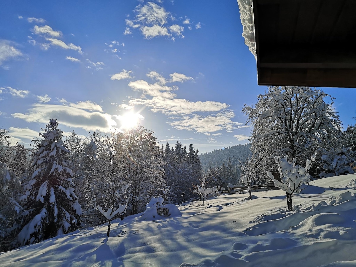 A serene winter landscape is captured, featuring snow-covered trees and a blanket of pristine snow. Sunlight filters through scattered clouds, casting a gentle glow over the scene, while the wooded area in the background adds depth to the tranquil view.