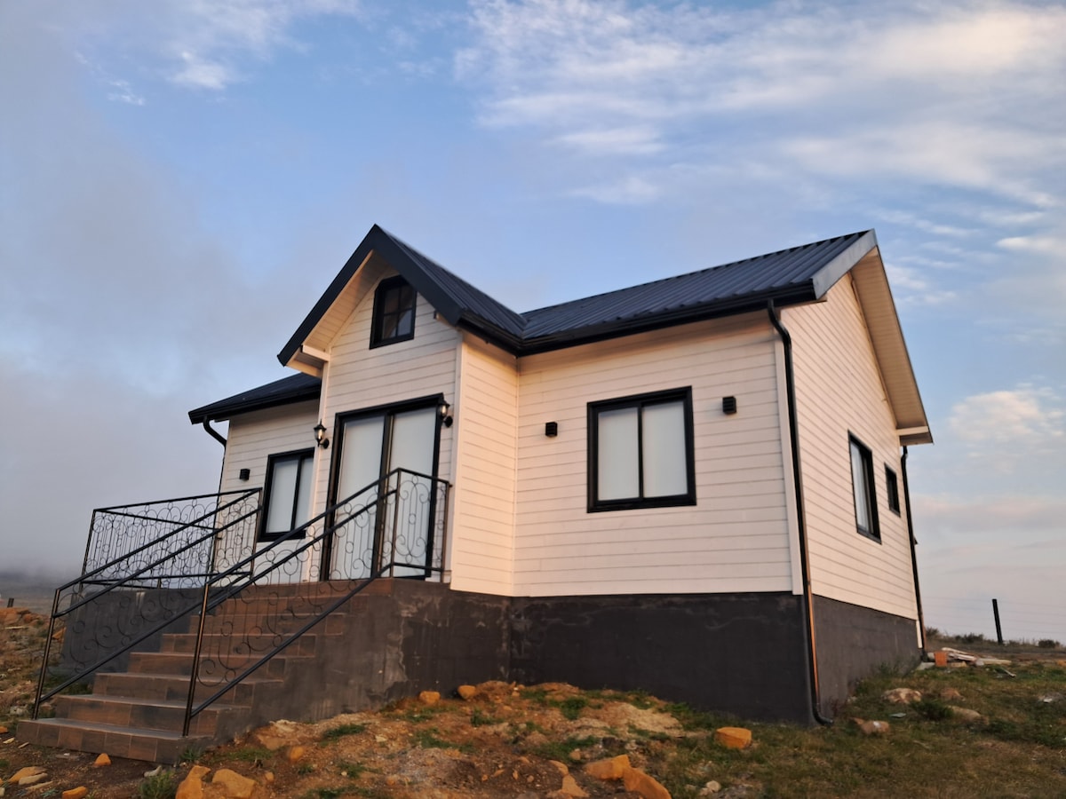A cabin designed in a modern farmhouse style features a sloped roof and light-colored siding. Stairs lead up to a welcoming entrance flanked by two front doors. Ample windows allow natural light into the interior, and the surrounding landscape is characterized by rocky terrain and open skies.