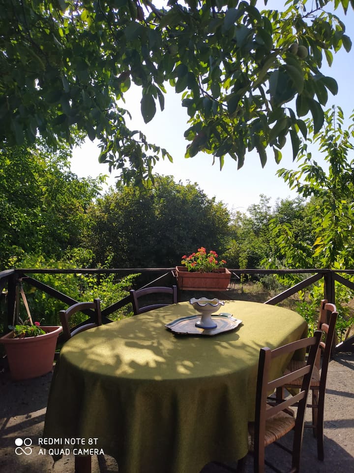 Vita Sull'etna - Milo