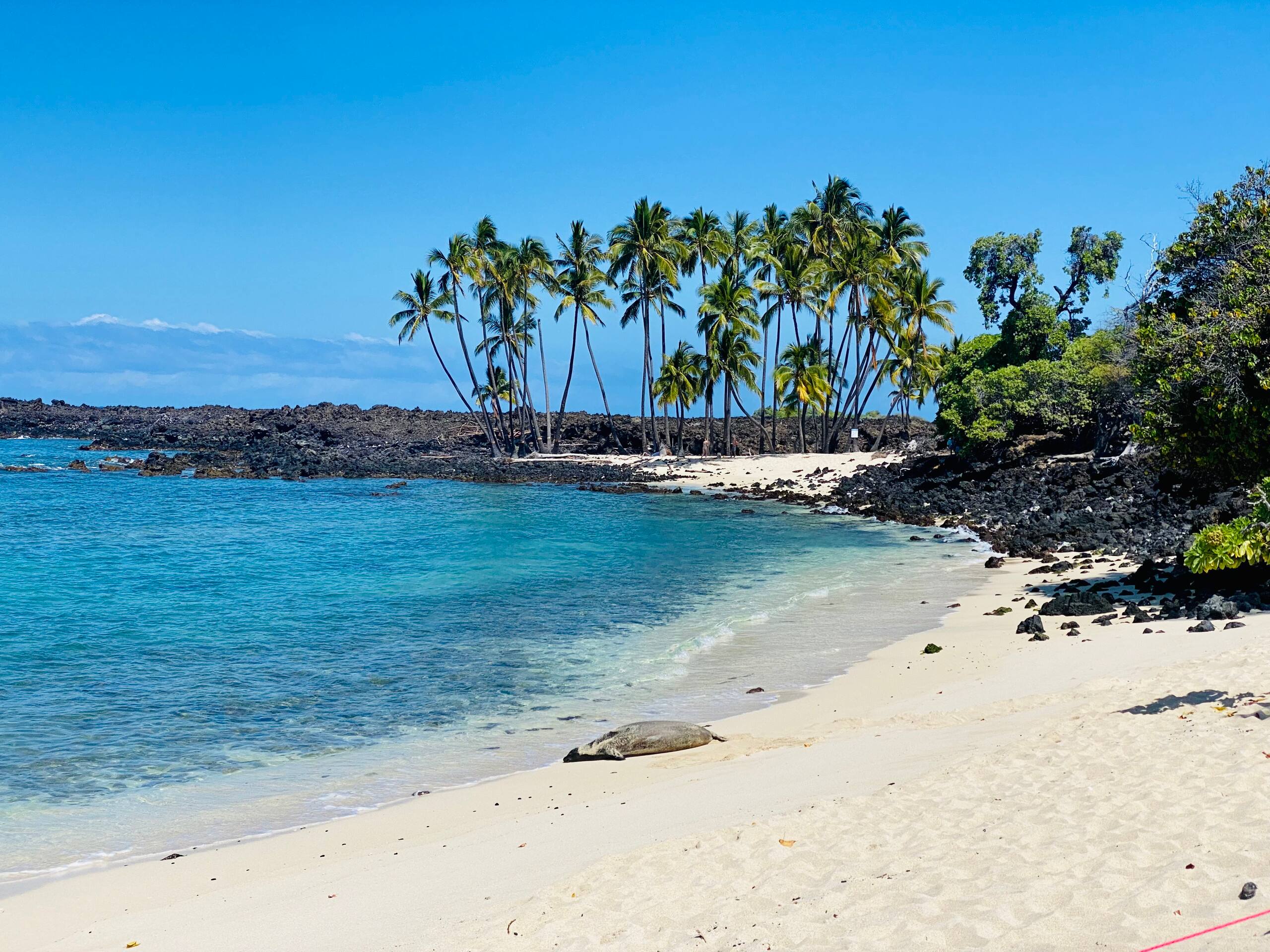 Charming Waikoloa Studio! - Photo 9