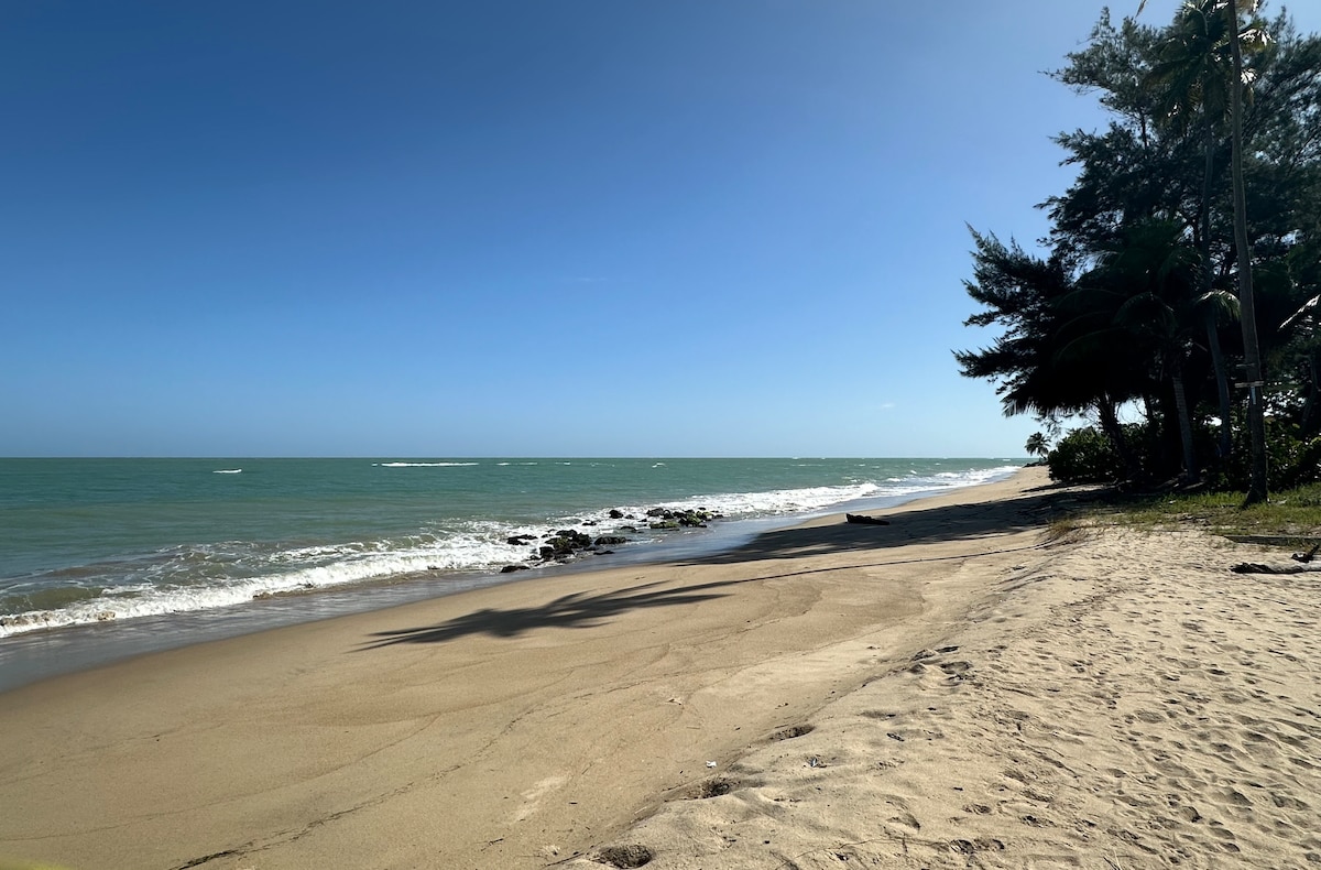 A serene beach scene is depicted, featuring soft sand meeting gentle waves. The ocean extends into the horizon under a clear blue sky, with lush greenery lining the shoreline. Palm trees are visible, creating a natural border along the beach area.