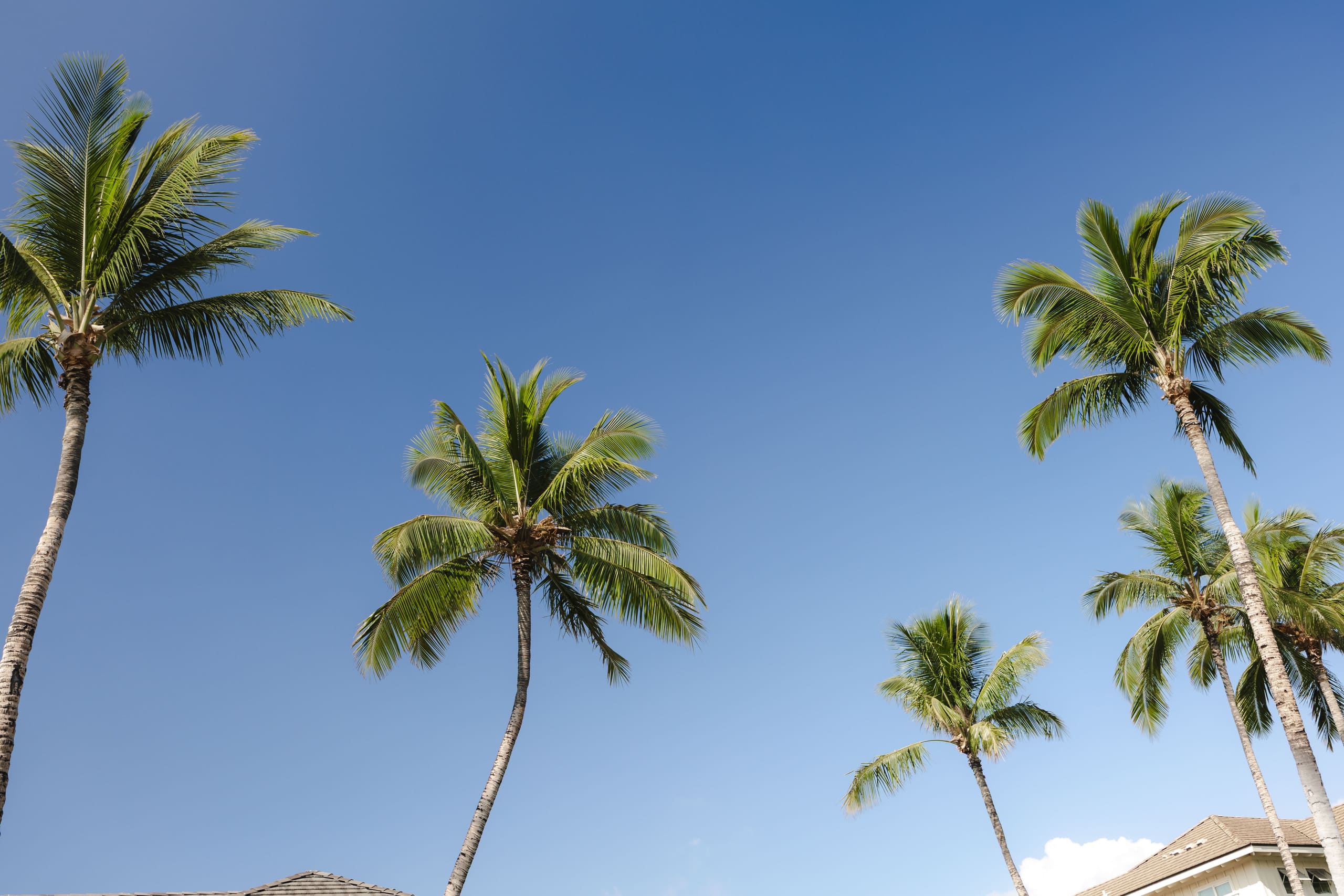 Townhouse in Waikoloa Village · ★4.98 · 3 bedrooms · 7 beds · 3 baths - Photo 211
