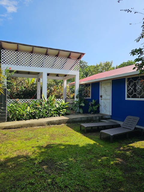 Mandala House. An oasis in the Jungle
