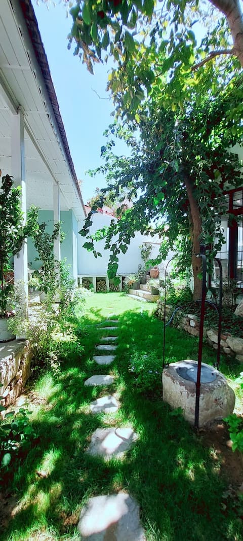 Voda Suite / Hidden Garden in the Old Town