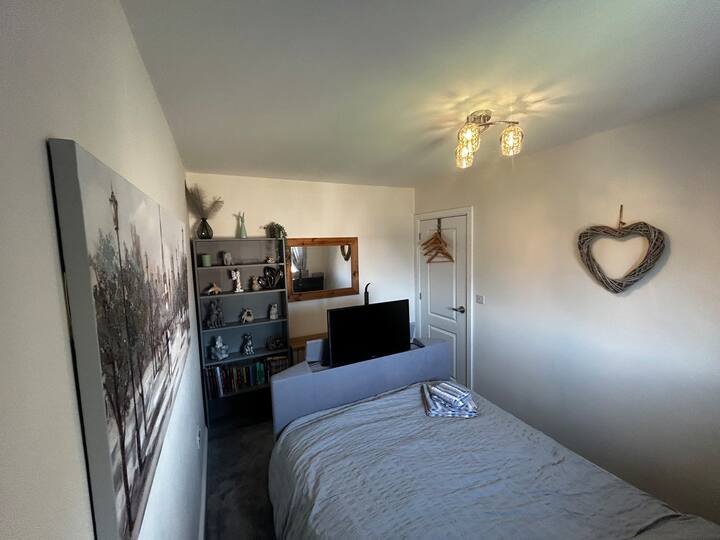 Cama de televisión tamaño king 