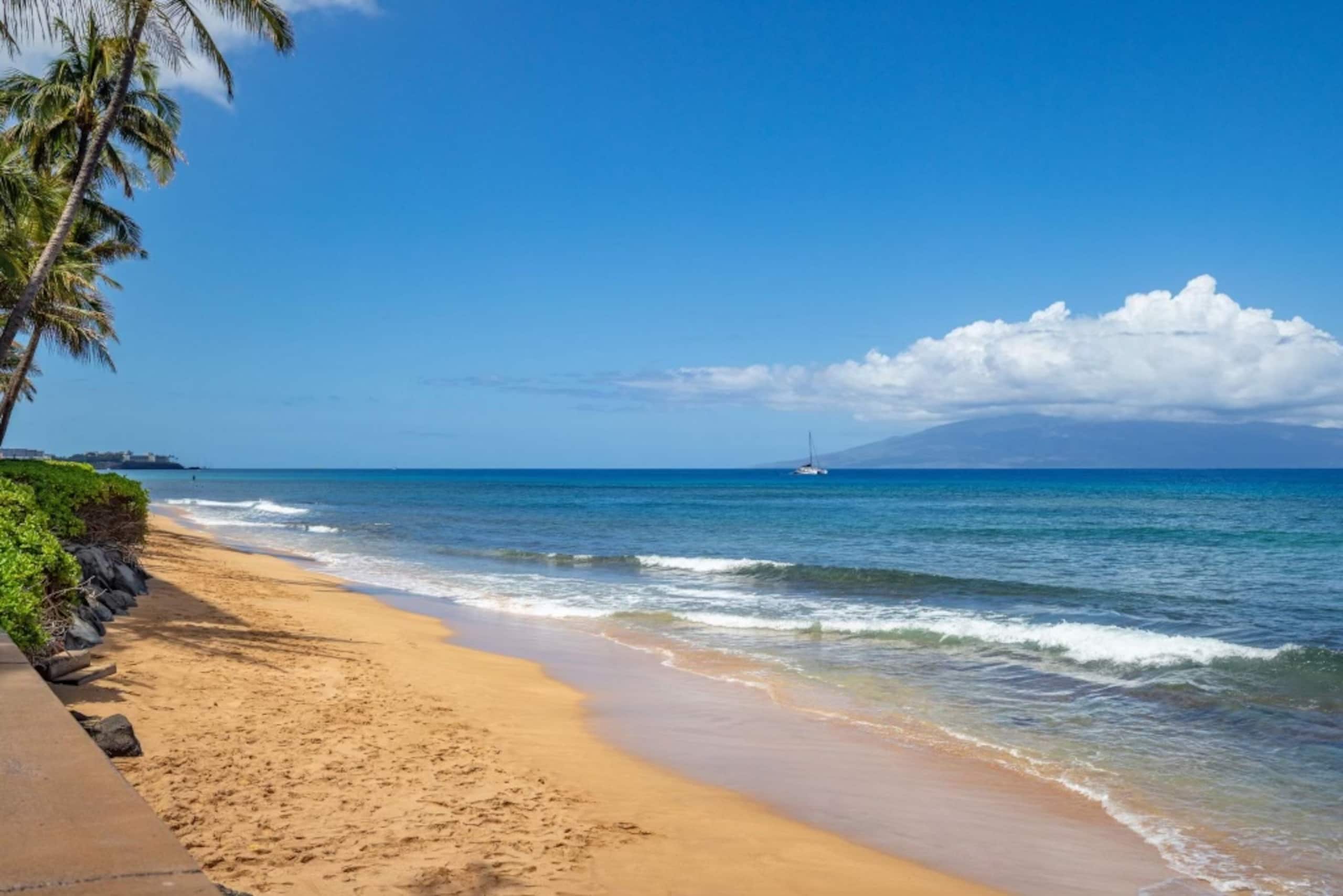 Condo in Lahaina · ★4.97 · 1 bedroom · 2 beds · 1 bath - Image 54