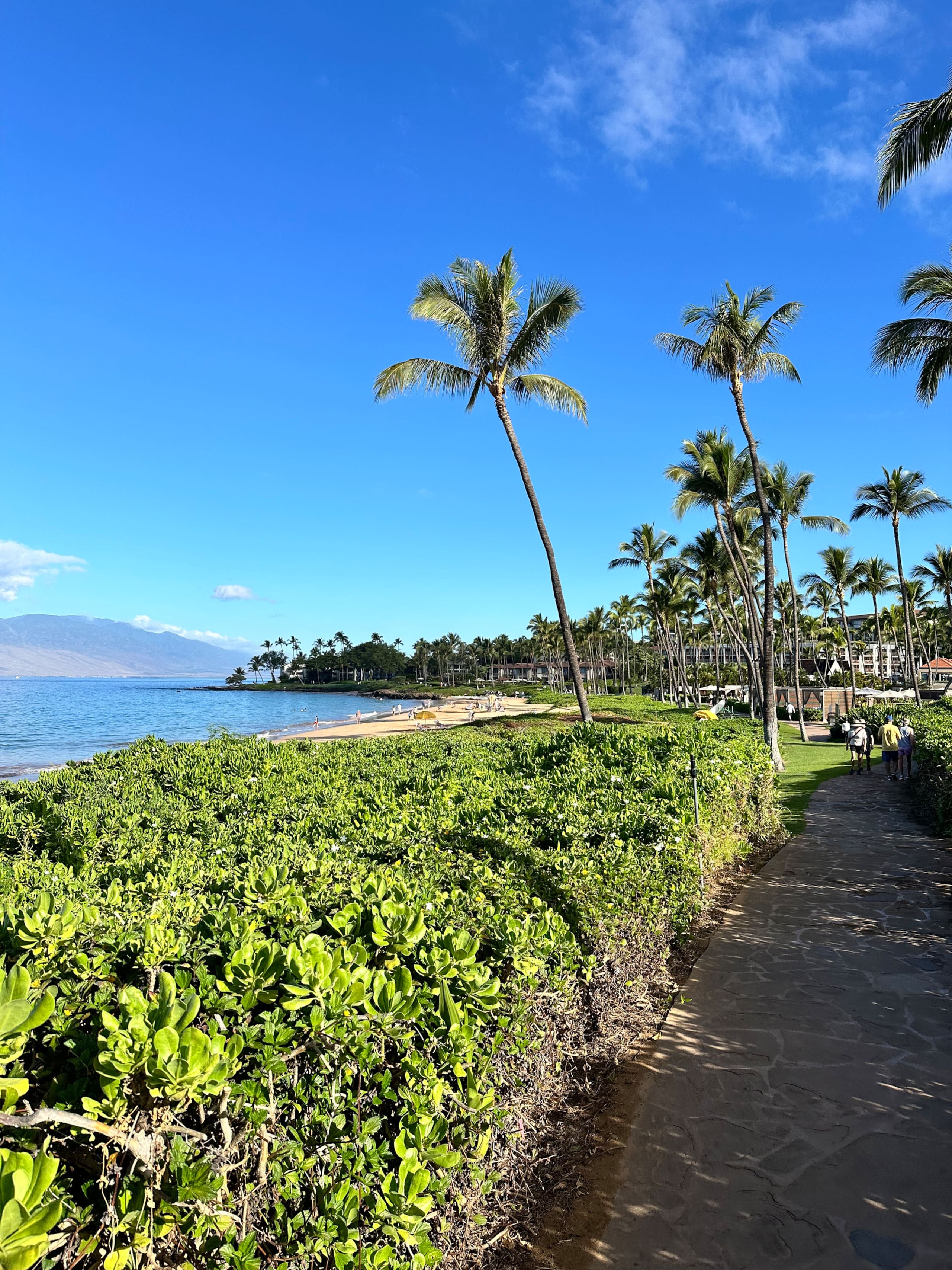 Condo in Lahaina · ★4.97 · 1 bedroom · 2 beds · 1 bath - Image 74