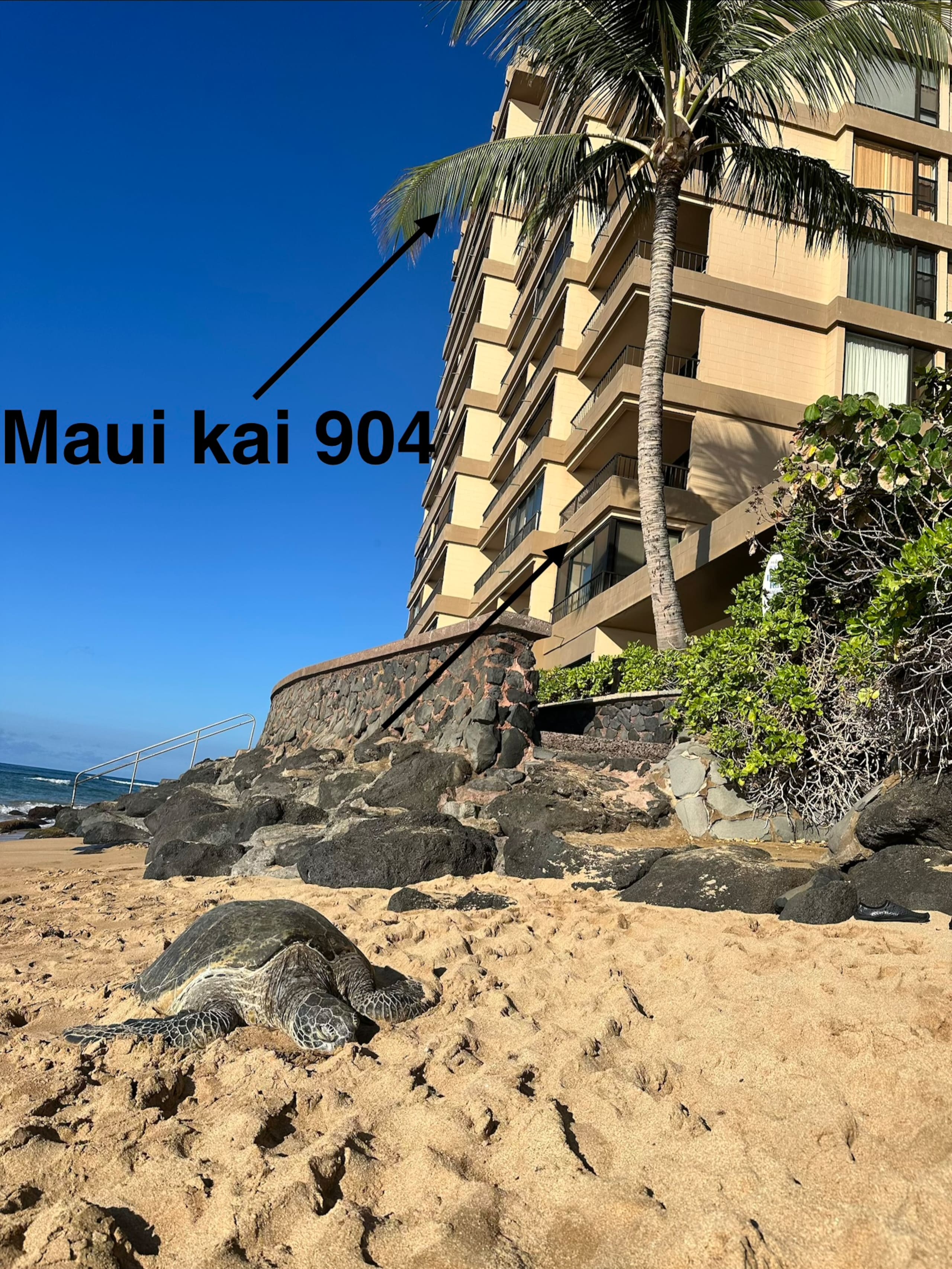 Condo in Lahaina · ★4.97 · 1 bedroom · 2 beds · 1 bath - Image 56