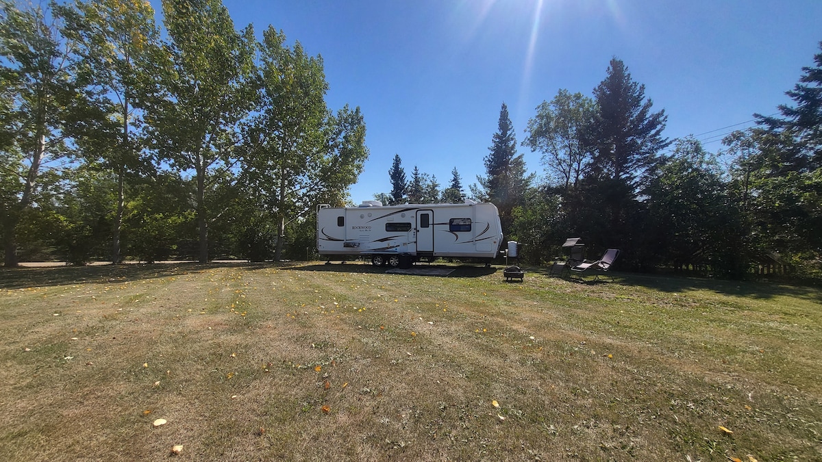 A spacious grassy area is surrounded by mature trees, providing shade and privacy. A well-maintained RV is parked on the lot, with two lounge chairs positioned nearby. Clear blue skies and bright sunlight highlight the inviting outdoor space.