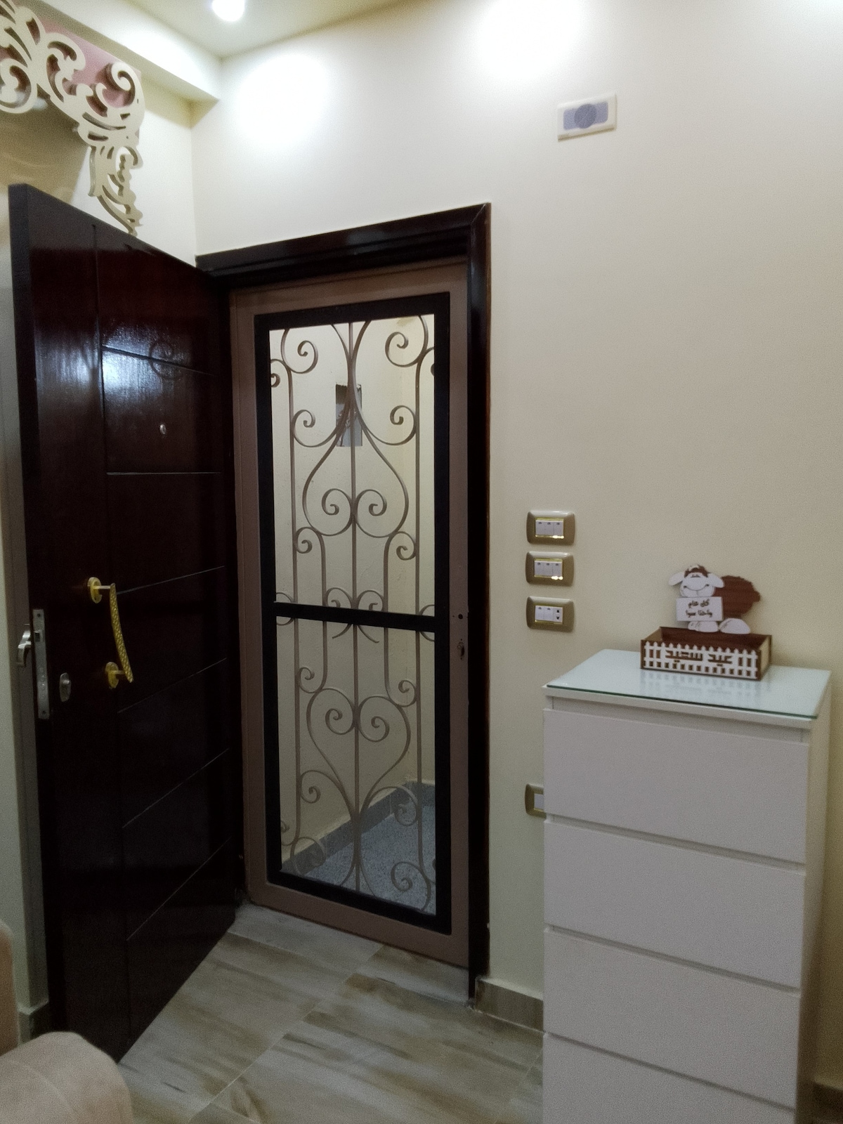 The entrance area features a decorative metal door with intricate scrollwork. A cabinet with multiple drawers is positioned nearby, complementing the light-colored walls. Natural light is allowed to filter through the door, creating a welcoming ambiance.