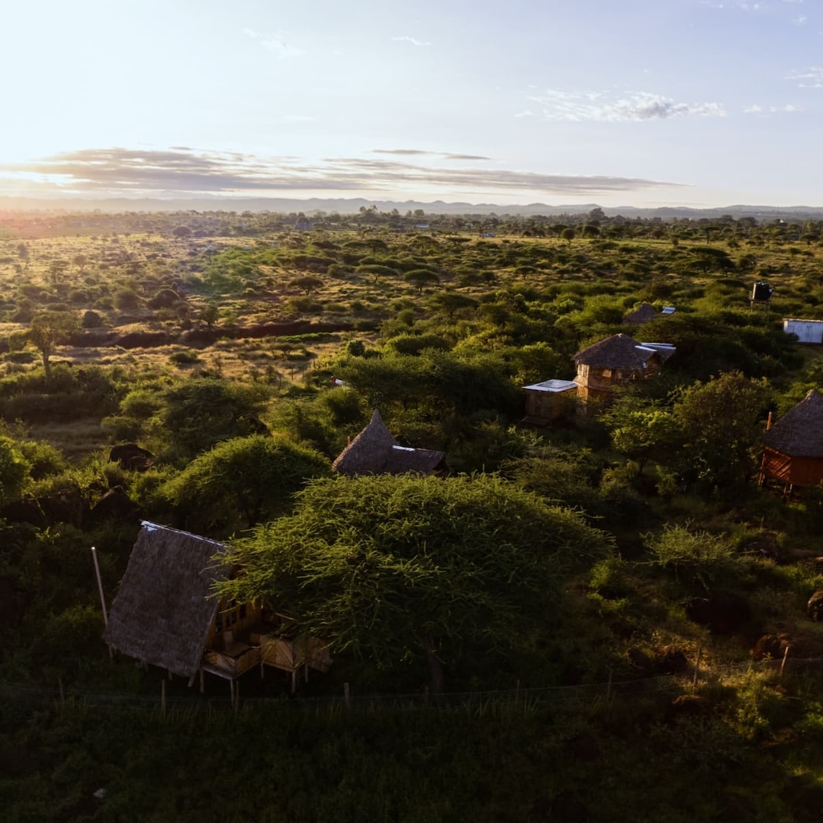 Aerial view of several rustic wooden cottages nestled among verdant greenery, showcasing thatched roofs. The sun rises over the expansive savannah, casting a warm glow on the landscape, highlighting the natural beauty of the surrounding wilderness.