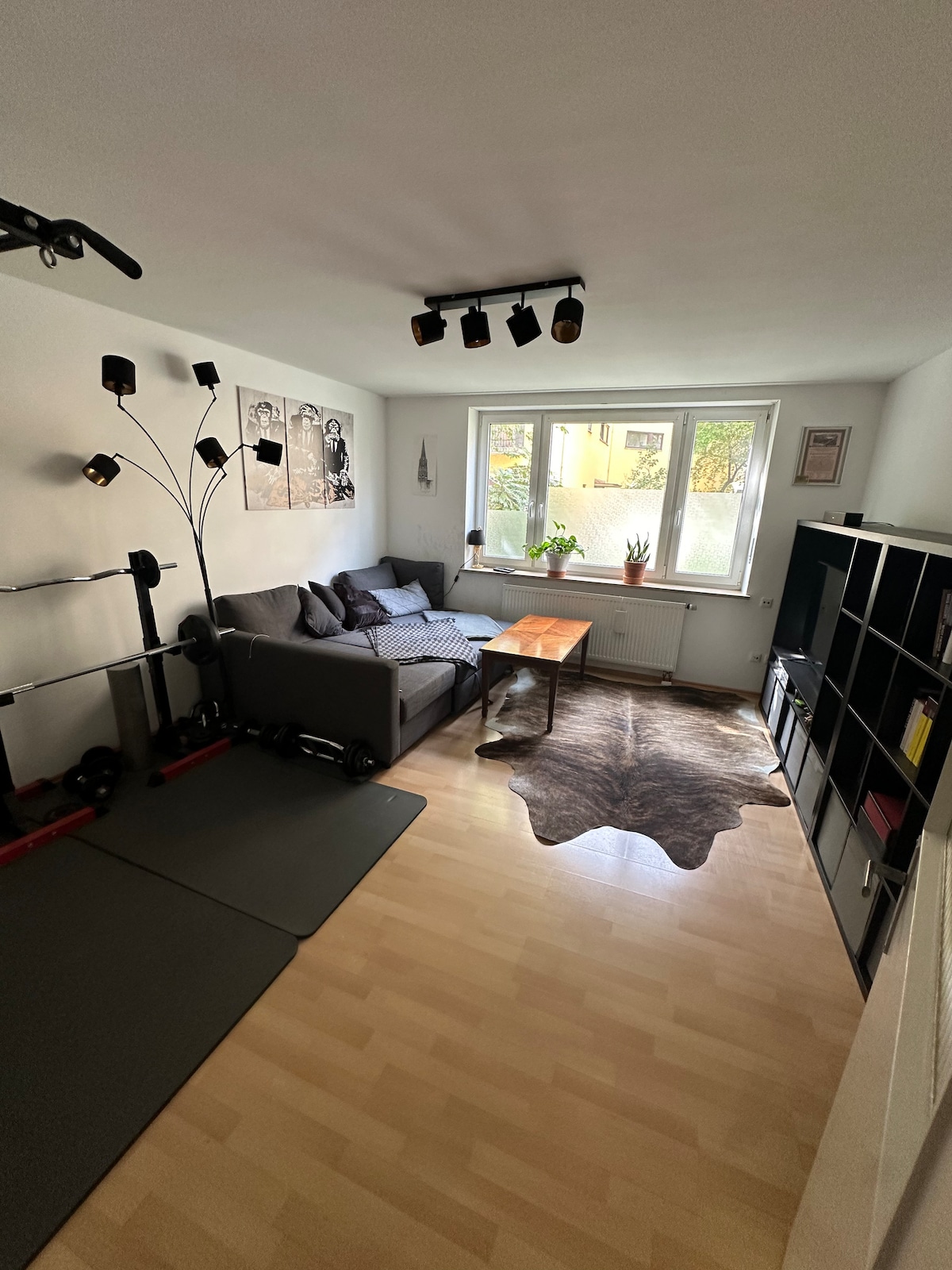 Successful Airbnb property: Central city apartment in Untere Au