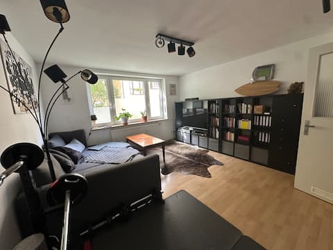 Successful Airbnb property: Central city apartment in Untere Au
