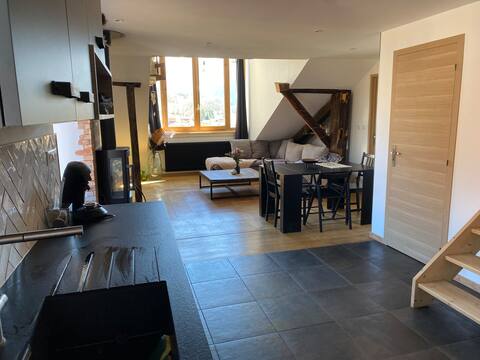 2 adjoining apartments