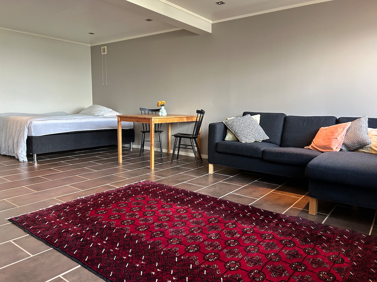 An open living space features a spacious bed in the background, accompanied by a wooden dining table surrounded by chairs. A dark sofa with colorful cushions sits nearby, complemented by a rich, patterned area rug covering the tiled floor.
