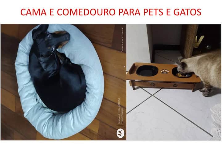 Flat Central : Ar-condicionado /Estacionamento - Feira de Santana