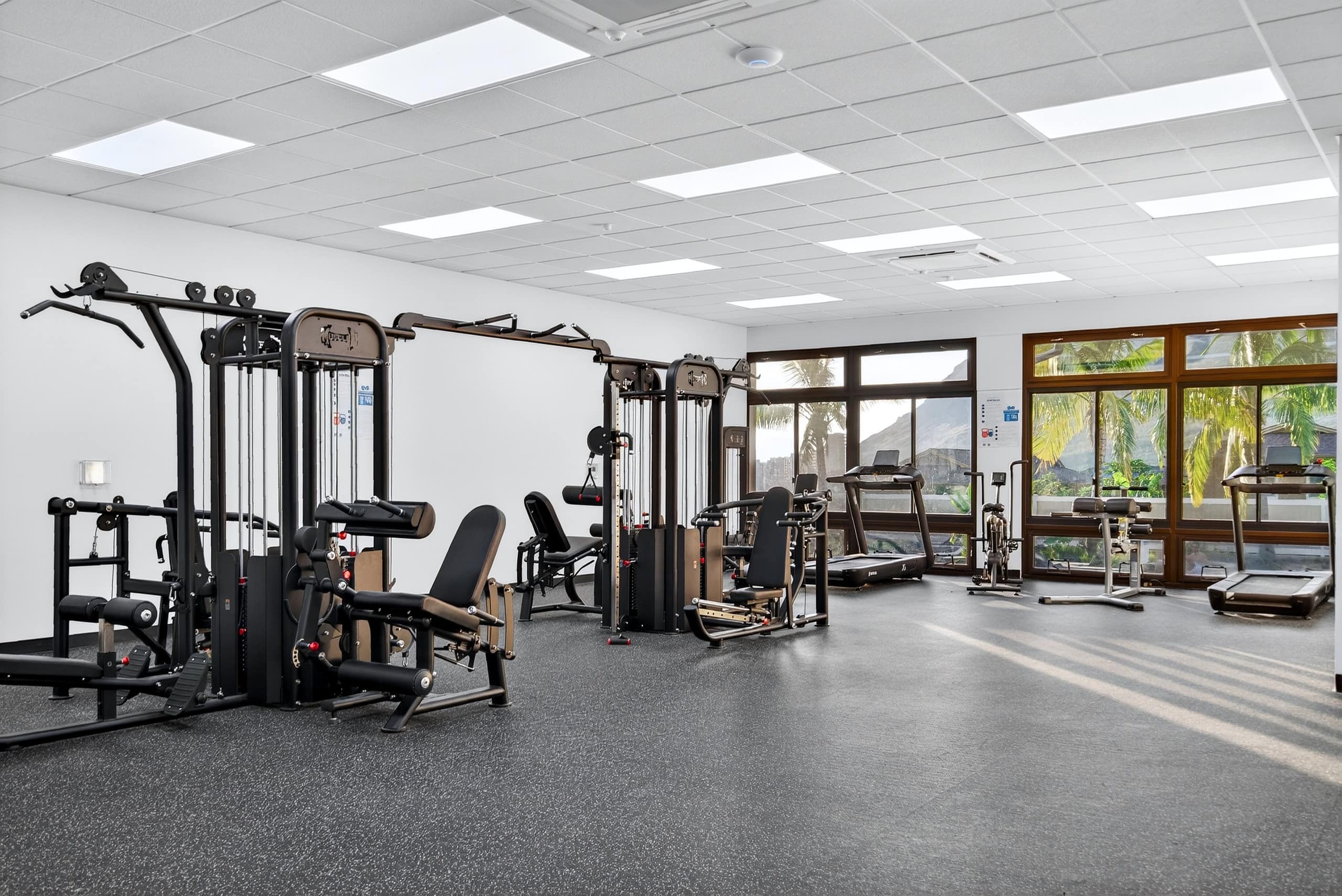 Support Top 10% Local Home Pool Spa Gym Ocean View - Photo 63