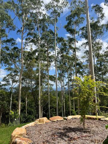 Bellingen Amazing Escape