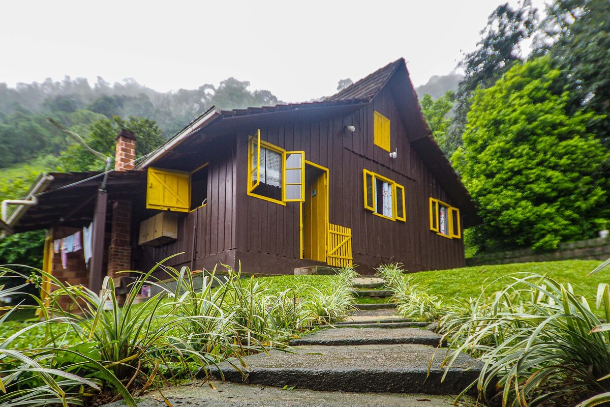 A charming rustic house is set amidst lush greenery, featuring dark brown wood siding accented by bright yellow window frames and doors. A stone pathway leads to the entrance, lined with low-growing grass and shrubs. The surrounding trees suggest a serene, natural environment.