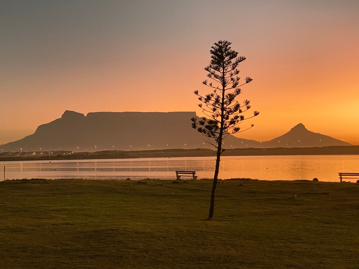 A serene landscape features a tall tree standing alone in a grassy area near calm water. In the background, Table Mountain is silhouetted against a vibrant sunset, casting warm hues across the sky. Benches are visible along the water's edge.