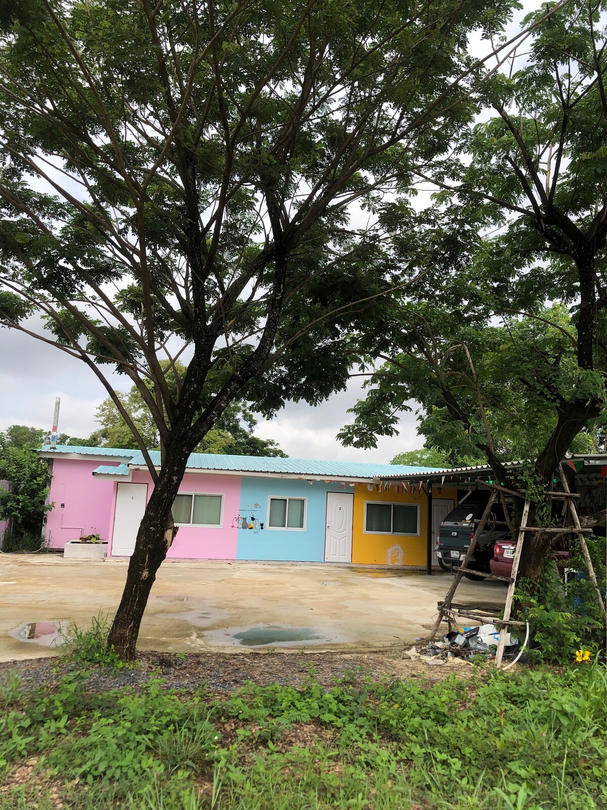 A vibrant property features walls painted in shades of pink, blue, and yellow. A spacious outdoor area is highlighted by a flat concrete surface, with several trees providing shade. A ladder and bicycle are visible, suggesting potential recreational activities.