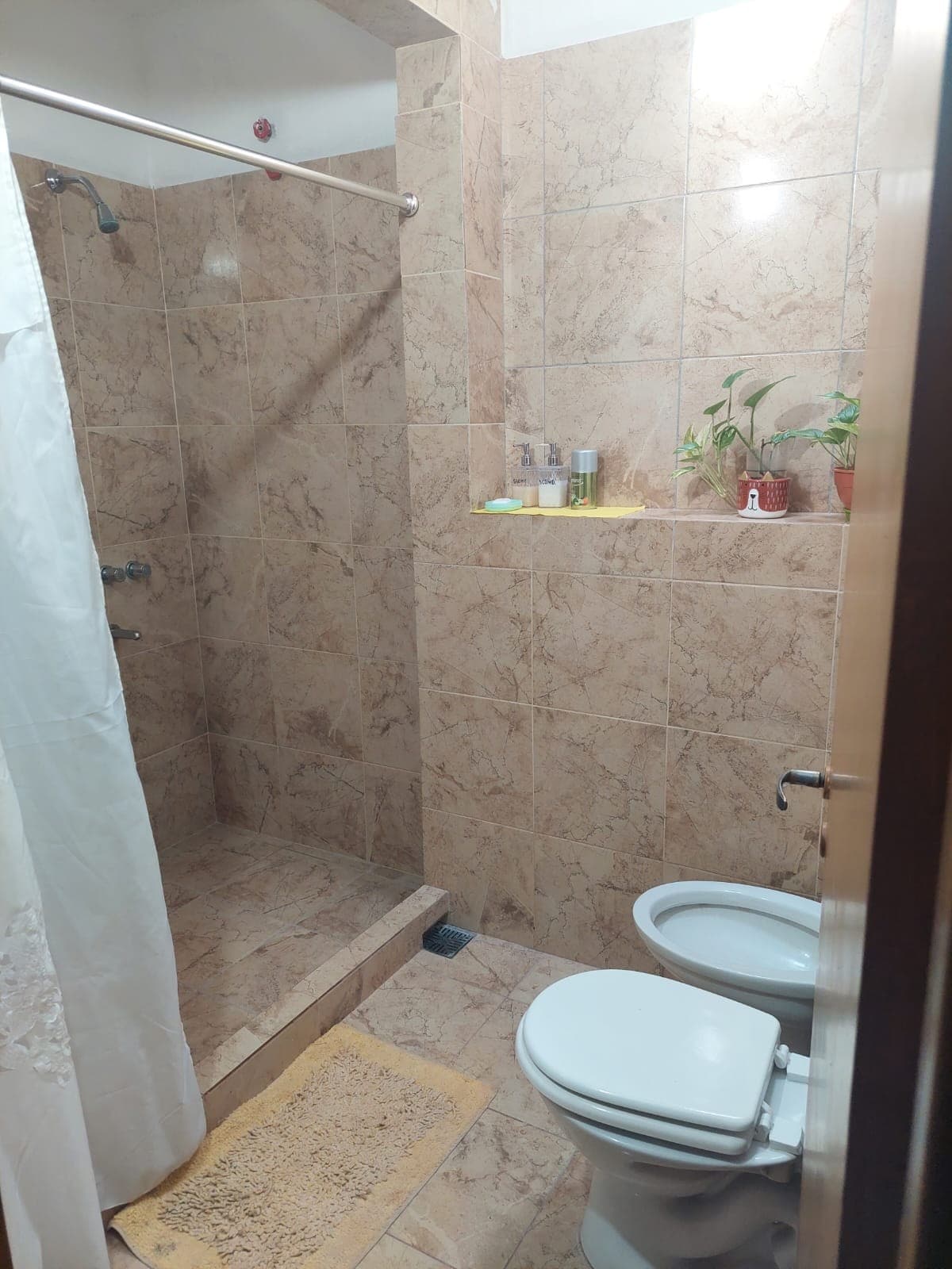 A bathroom features beige marble tiles on the walls and floor. A spacious shower area is equipped with a showerhead, while personal care items are displayed on a shelf above a small potted plant. A toilet is positioned adjacent to the shower area.
