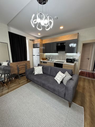 2+1 luxury apartment no:5