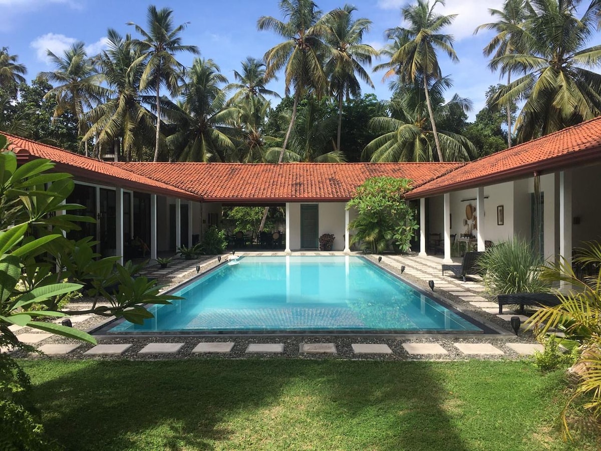 A tranquil outdoor pool is centrally located, surrounded by lush palm trees and well-maintained gardens. The area features a spacious stone deck with a harmonious layout of potted plants and pathways leading to nearby rooms, all beneath a bright blue sky.