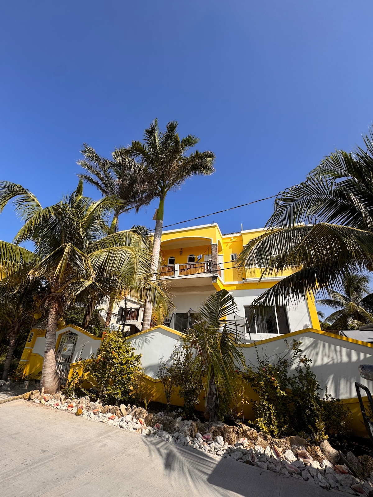 The exterior of a vibrant yellow building is framed by lush palm trees and landscaped greenery. A second-floor balcony offers outdoor space. The structure showcases large windows and a curved design, situated along a well-maintained pathway.