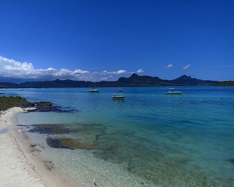 Endless Summer - Luxury Beachfront Living