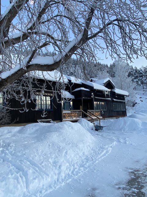 Unik villa med utsikt til Telemarkskanalen