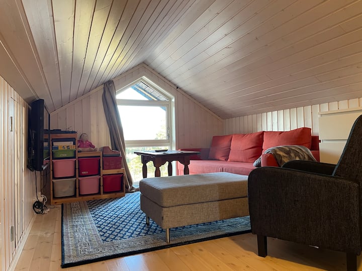 Podkrovná izba s televízorom a rozkladacou pohovkou pre 2 osoby. K dispozícii je aj cestovná postieľka pre bábätko/batoľa. 