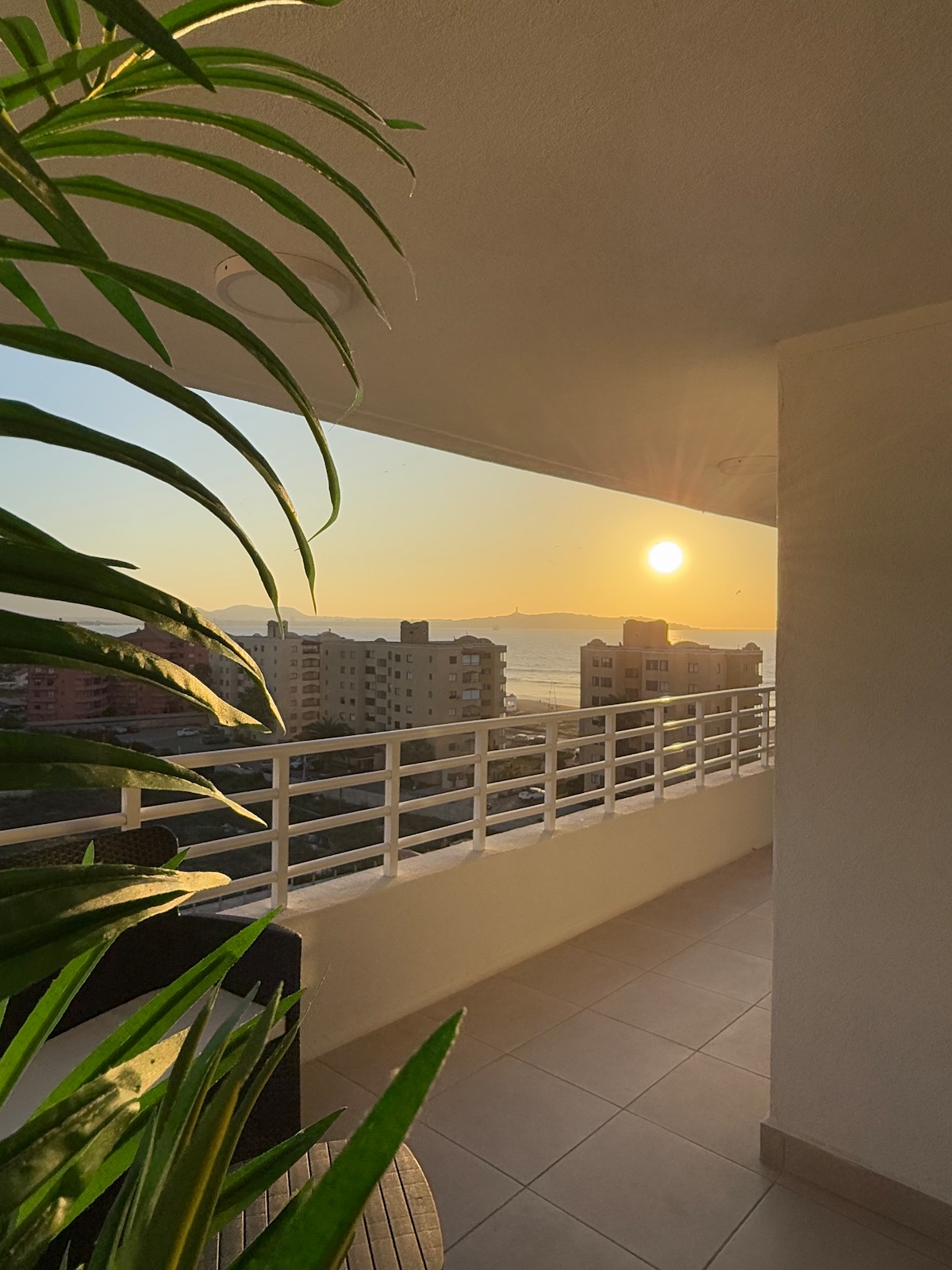 A balcony view showcases a soft sunset over the ocean, framed by a lush green plant to the left. The horizon reveals a gentle blend of colors, while buildings line the foreground, and the distant coastline is visible. The open space invites relaxation.