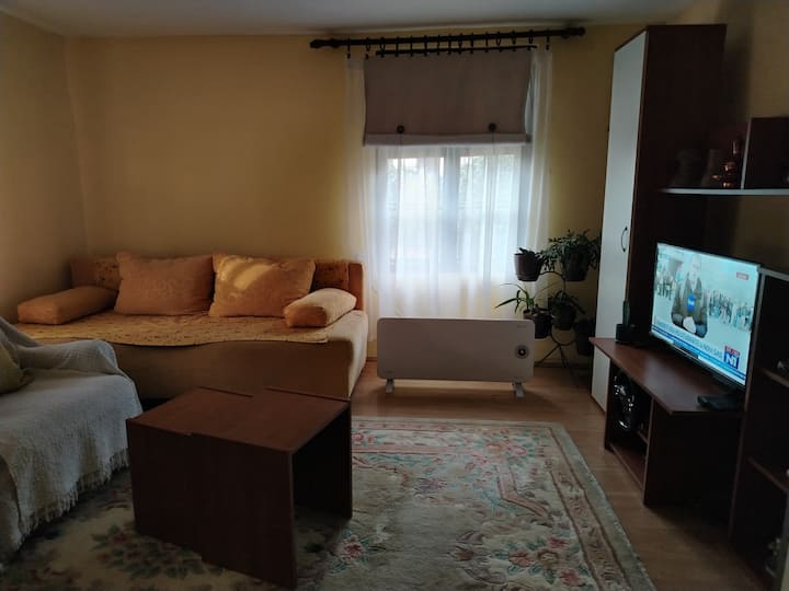 Apartman Tasic - Serbia