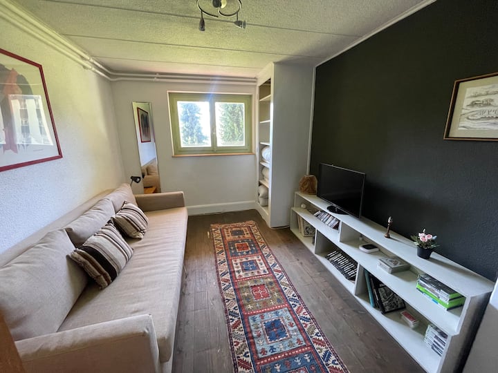 Cozy Apartment In The Alps - Leysin