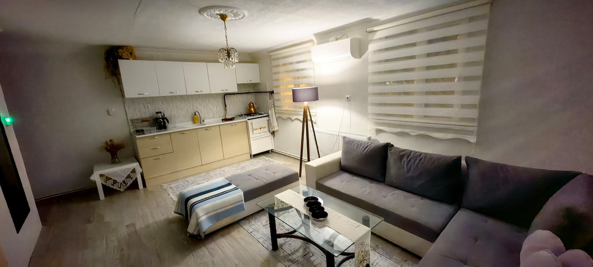 A modern living area features a comfortable gray sectional sofa and a glass coffee table. Soft, layered curtains allow natural light to filter in, while a floor lamp provides additional illumination. A well-equipped kitchen area is visible in the background, highlighting a cohesive design.