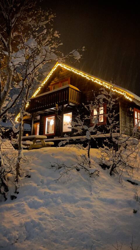 Family cabin at Hovden