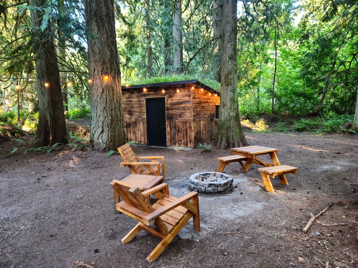 A charming fire pit area is surrounded by tall trees, featuring four wooden chairs arranged around a circular stone fire pit. A rustic wooden cabin stands nearby, partially concealed by lush greenery, creating a serene and inviting outdoor atmosphere.
