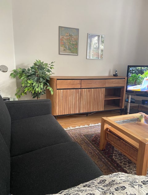 Top Airbnb: Sweet apartment with XXL balcony in Oststadt in Oststadt