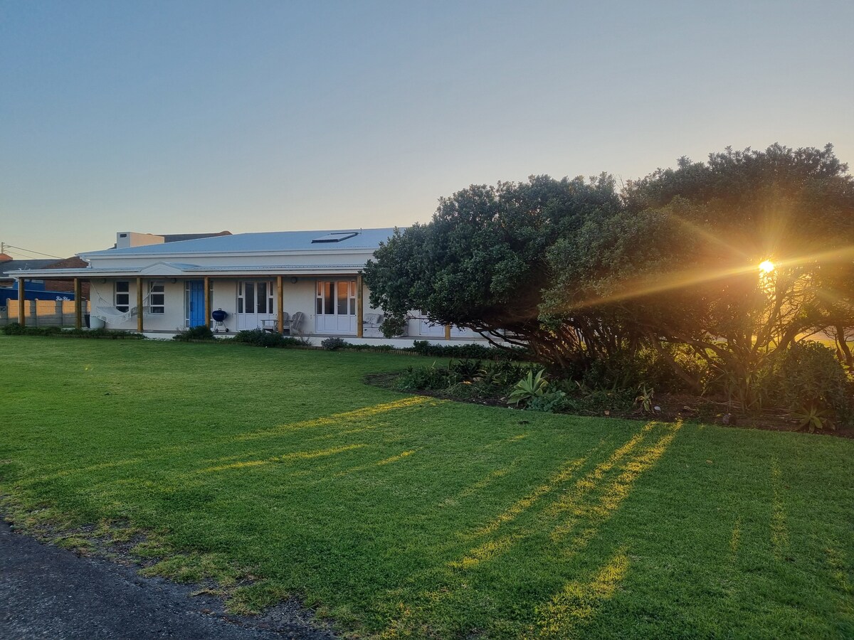 A single-story house is set against a lush green lawn, with a large shrub casting gentle shadows. Sunlight filters through the branches, creating a warm glow. Large windows and a covered porch are visible, providing an inviting exterior space.