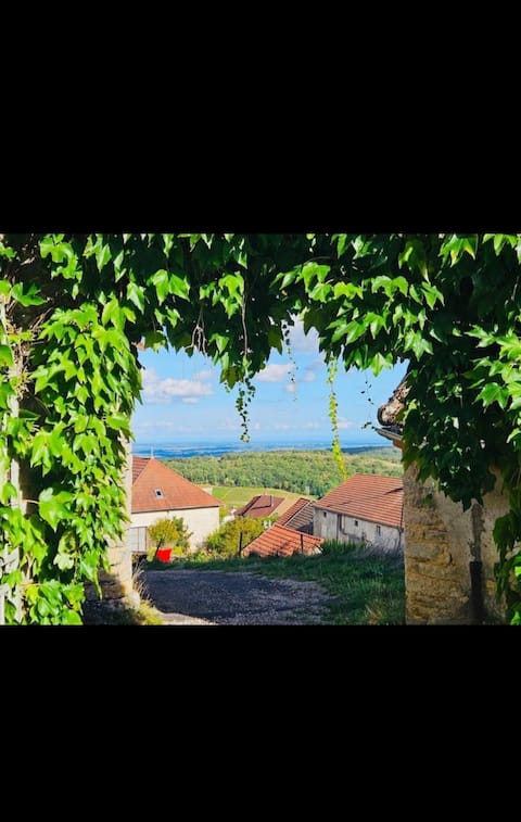 Charming property, view of the vineyards