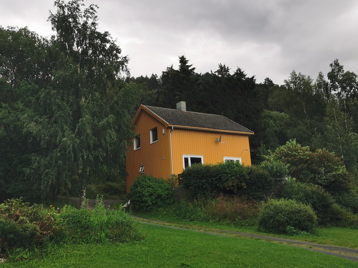 A two-story house is nestled among greenery, featuring yellow exterior walls. Large windows provide natural light, and the sloping roof adds to its charm. Surrounding trees and shrubs contribute to a serene outdoor environment, while a pathway leads to the entrance.