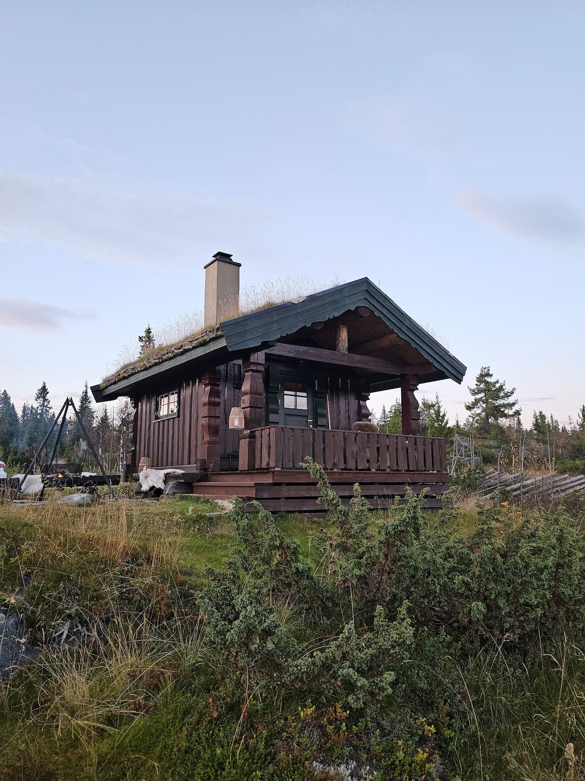 A charming wooden cabin is surrounded by natural greenery, featuring a sloped roof with grass. Large windows and a welcoming porch enhance its rustic appeal, while the exterior showcases traditional craftsmanship. The serene landscape provides a sense of privacy and tranquility.