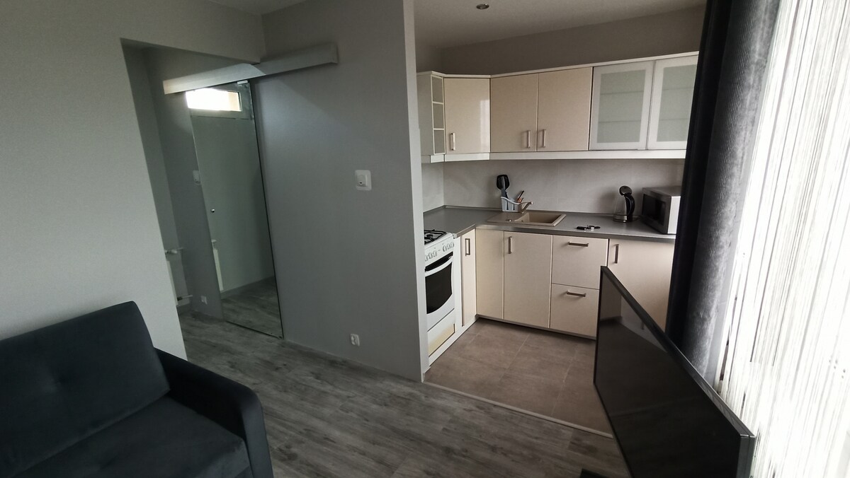 An open-concept living area displays a compact kitchen equipped with a gas stove, microwave, and refrigerator. A couch is positioned to one side, and a large mirror enhances the sense of space. Natural light enters through sheer curtains, complementing the neutral color palette.