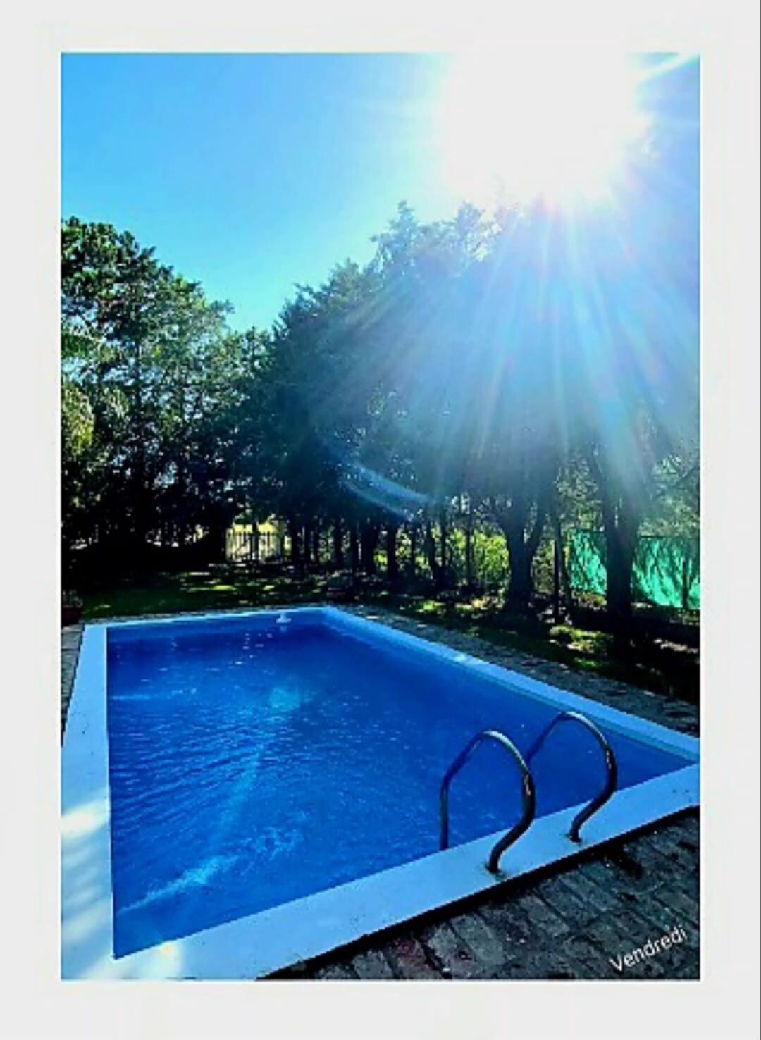 A swimming pool is shown surrounded by lush greenery, with sunlight reflecting off its clear blue water. Two steps lead into the pool, while shadows from nearby trees create a calm outdoor ambiance.