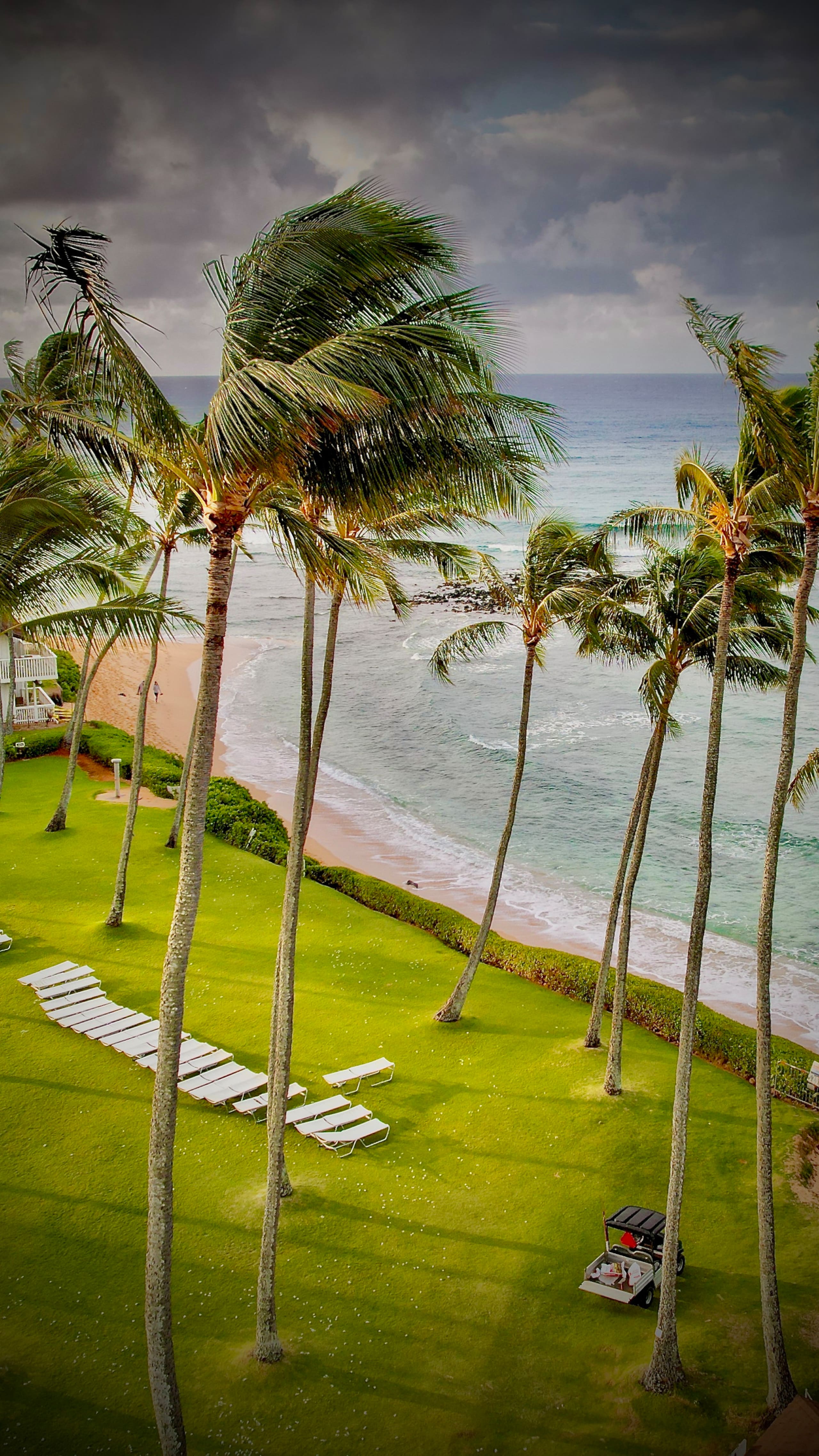Home in Koloa · ★4.93 · 1 bedroom · 2 beds · 1 private bath - Image 41