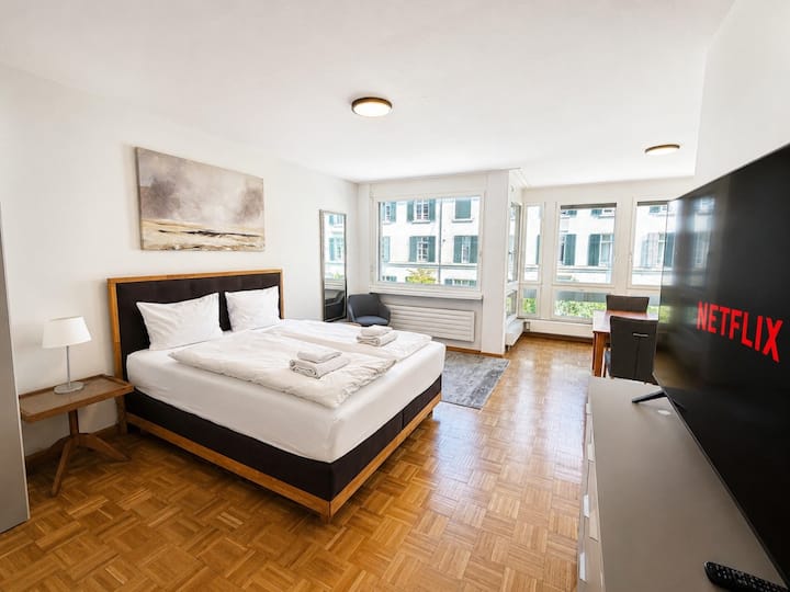 Practical And Cozy City Studio (Art 6) - Zurich