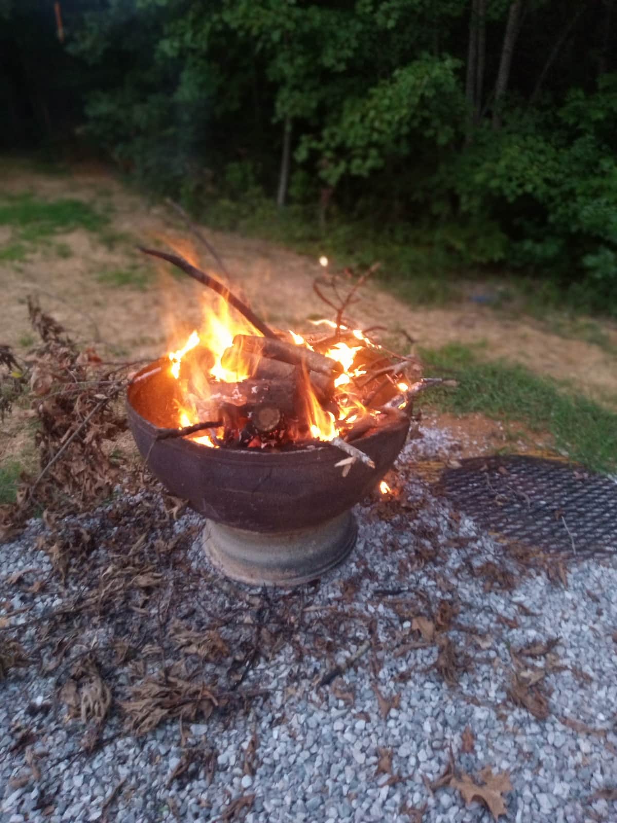 Wooded area in the park